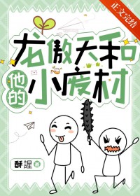 龙傲天和他的管家后续